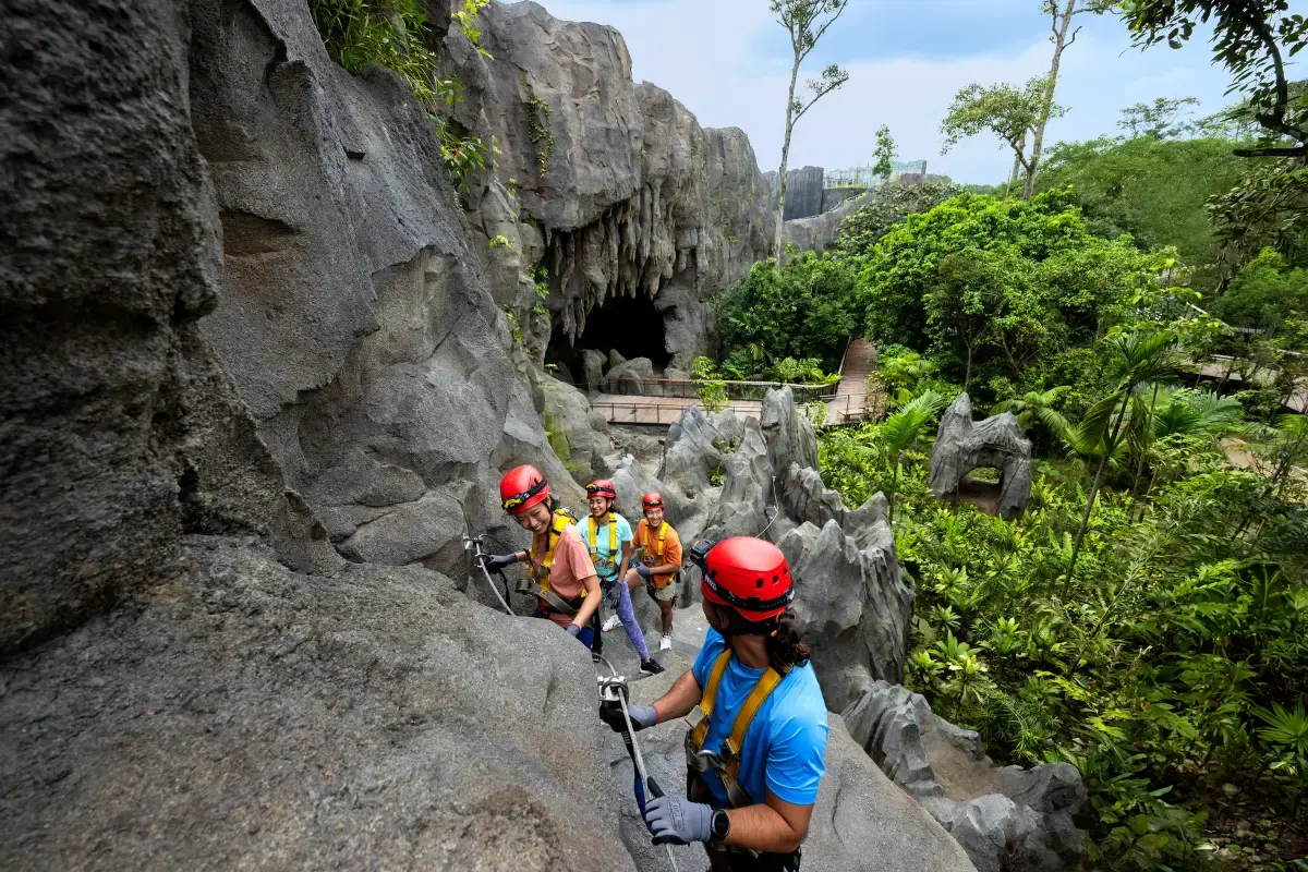 Rainforest Wild Adventure