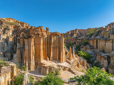 Yuanmou Earth and Forest Scenic Resort