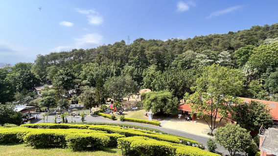 South China Tiger Park