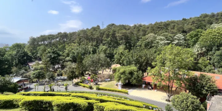 韶關市華南虎園