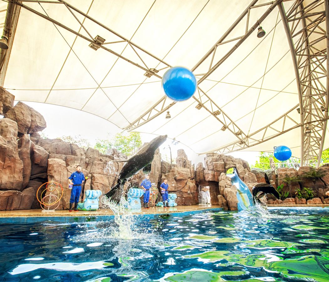 Universal Dinosaur Park/Changzhou Olympic Sports Center