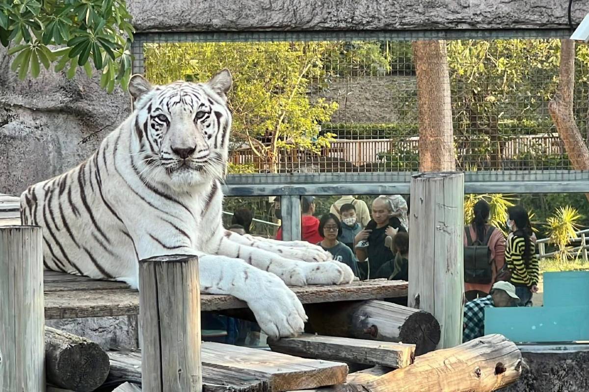 壽山動物園