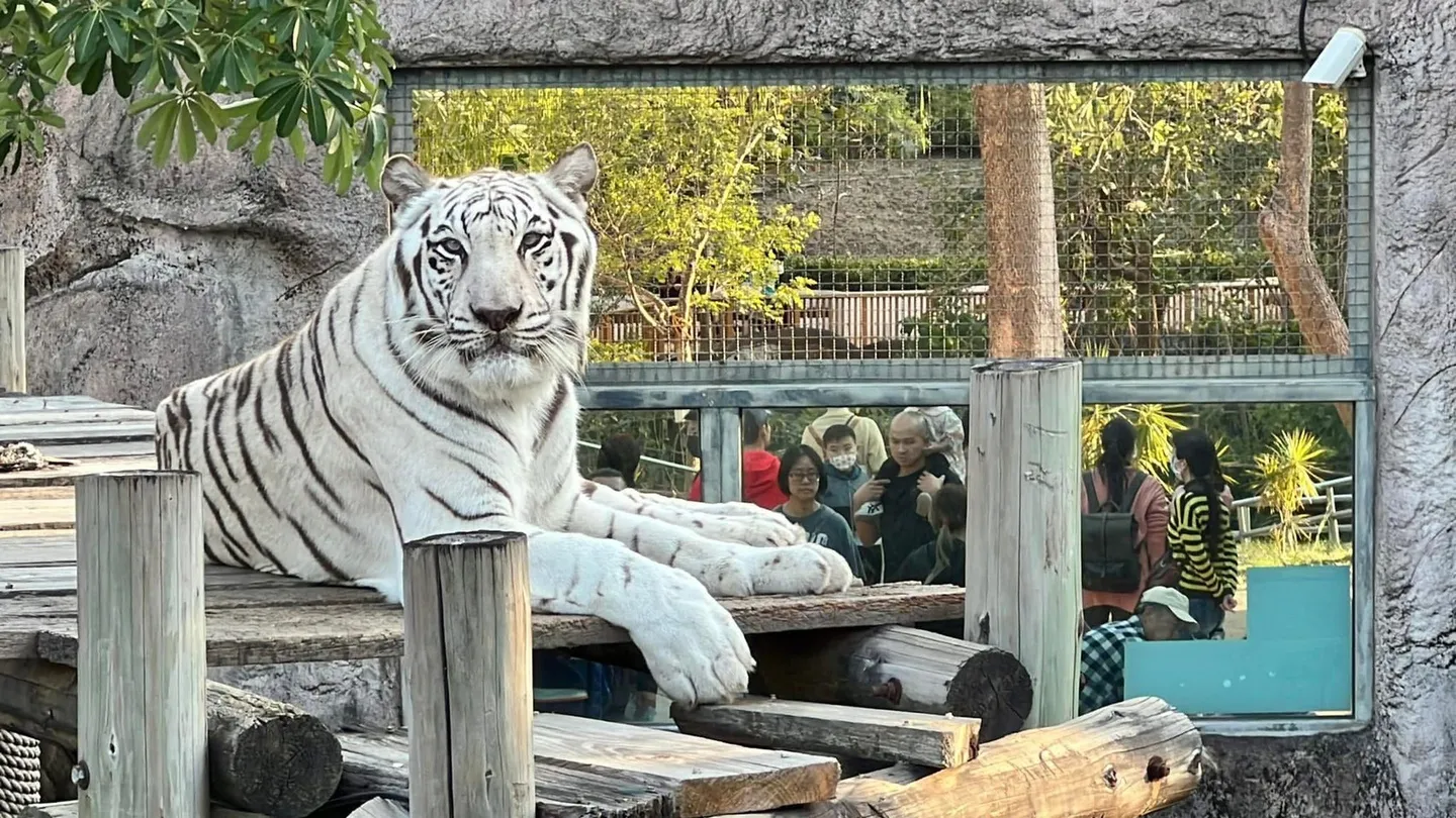 3_高雄市壽山動物園