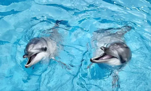 Yehliu Ocean World
