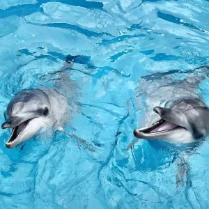 野柳海洋世界