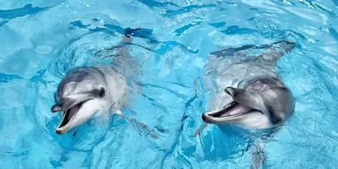 野柳海洋世界
