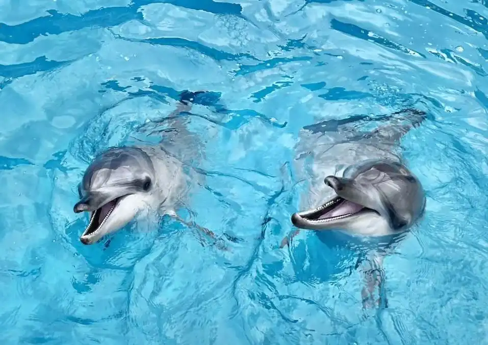 예류 오션 월드 주변 호텔