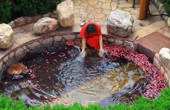 壺山溫泉門票成人