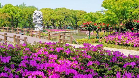 Wuxi