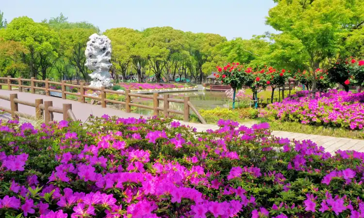 Hotels near Three Kingdoms Town