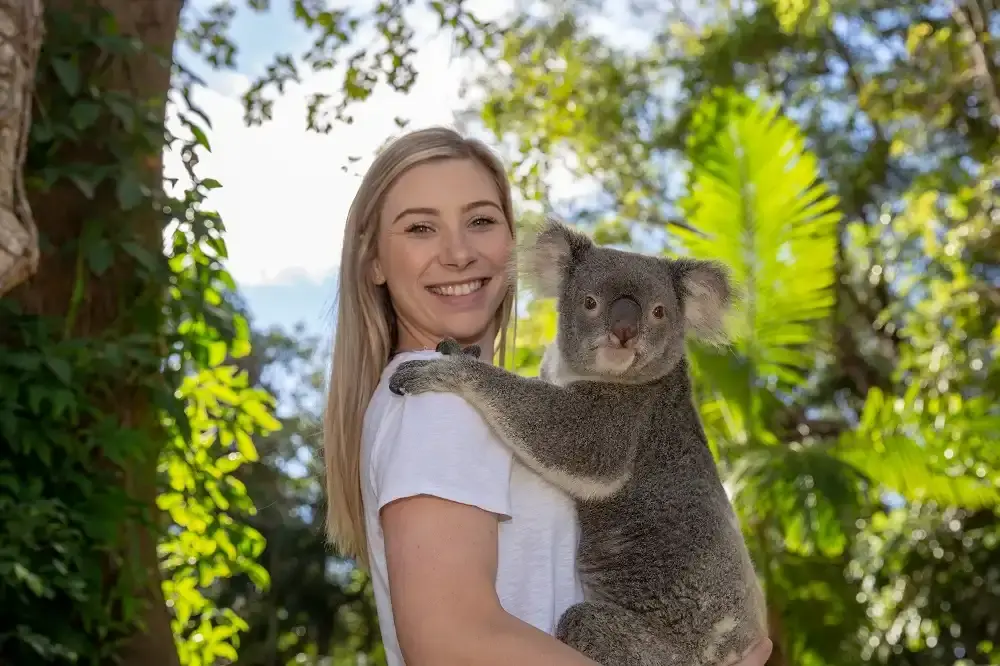 Hotels near Currumbin Wildlife Sanctuary