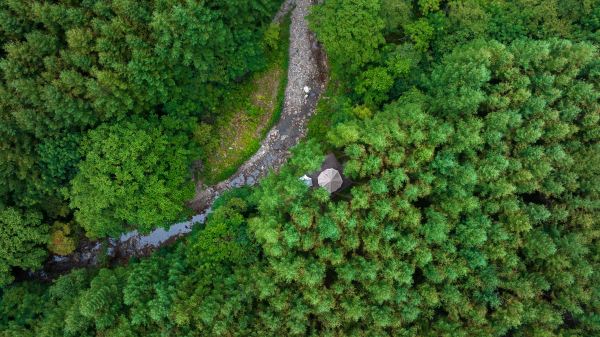 Micang Mountain National Forest Park