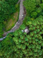 Micang Mountain National Forest Park