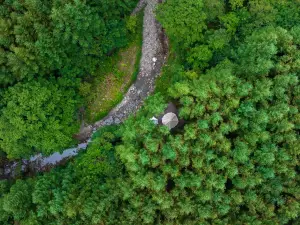 Micang Mountain National Forest Park