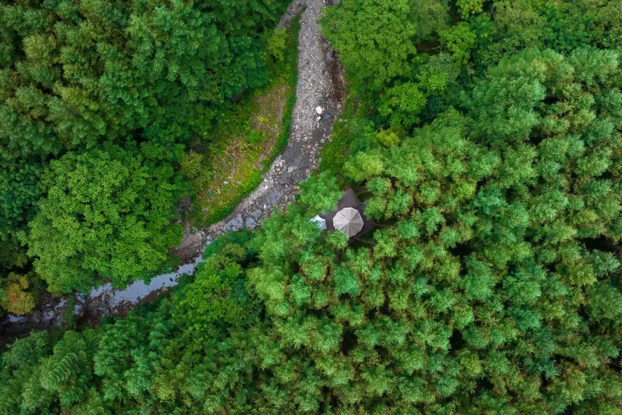 Micang Mountain National Forest Park