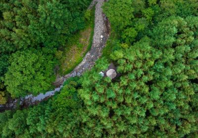 Micang Mountain National Forest Park