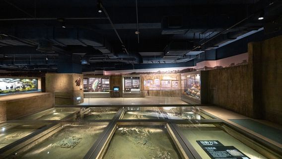 Museum of Archaeology, Tainan Branch of  Museum of Prehistory