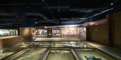 台灣史前文化博物館南科分館