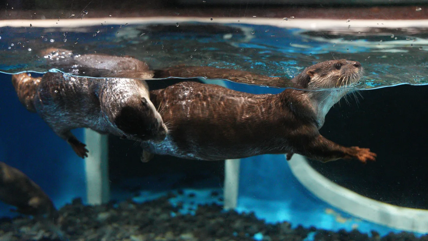 3_Cube Oceanarium Sea World