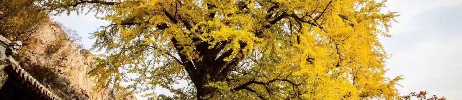 Paysages d’automne