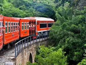 Shiping Narrow Gauge Train