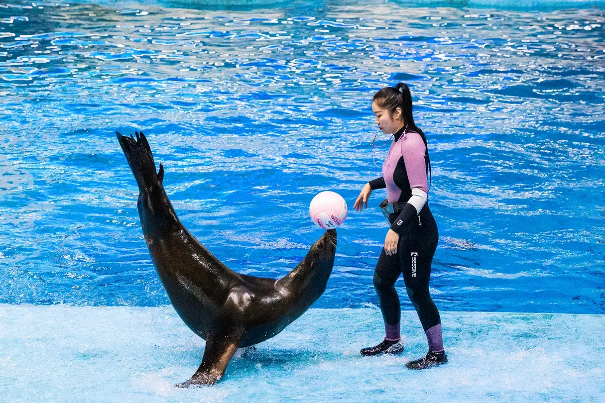 5_Hefei Andover Oceanarium