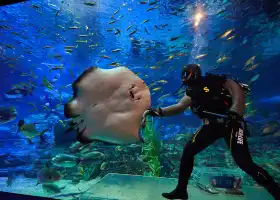 釜山SEA LIFE水族館