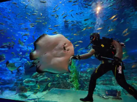 SEALIFE Busan Aquarium