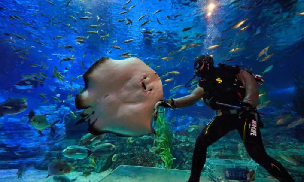 SEALIFE Busan Aquarium