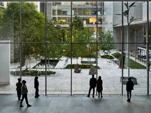 The Museum of Modern Art