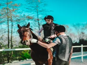 Canghai Cloud Grassland