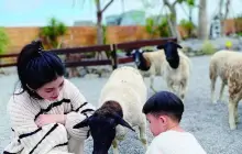 回巢 Homing 荒野沙漠農場園區