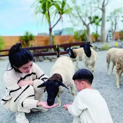 回巢 Homing 荒野沙漠農場園區