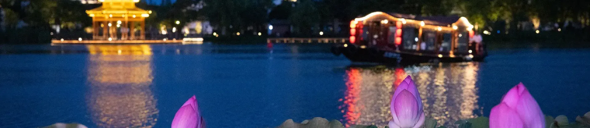 Night Attractions