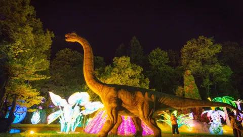 แดนสวรรค์ยาวหลิน attraction in ถงหลู่