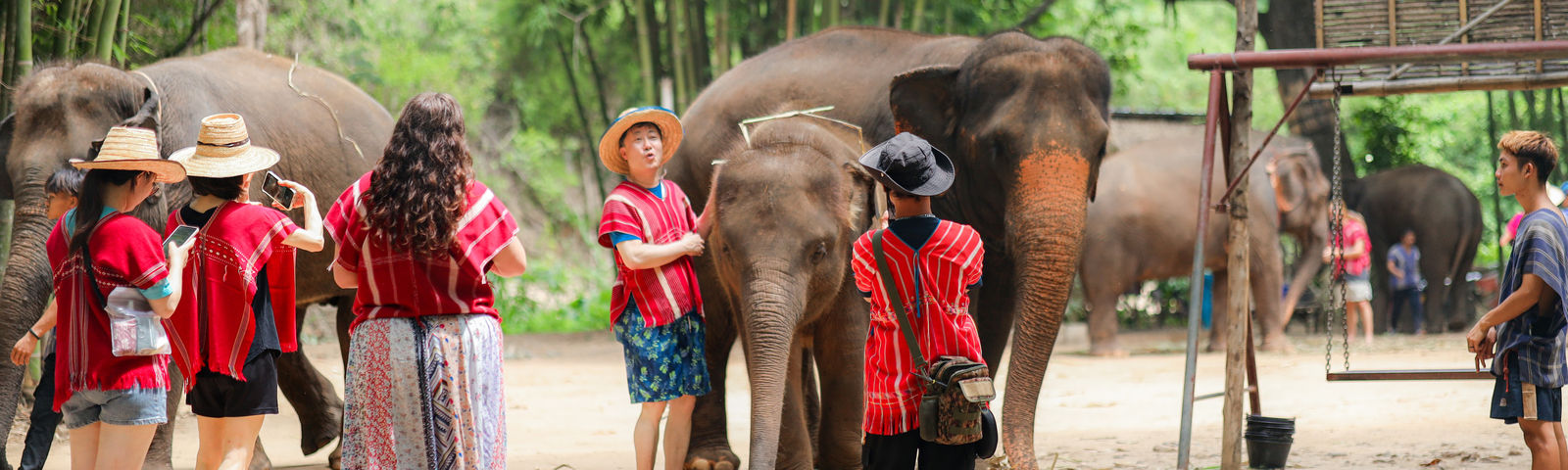 Mae WangTours