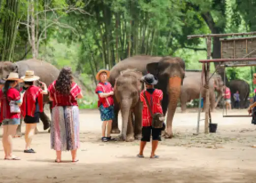 Kerchor​ elephant​ eco​ park​