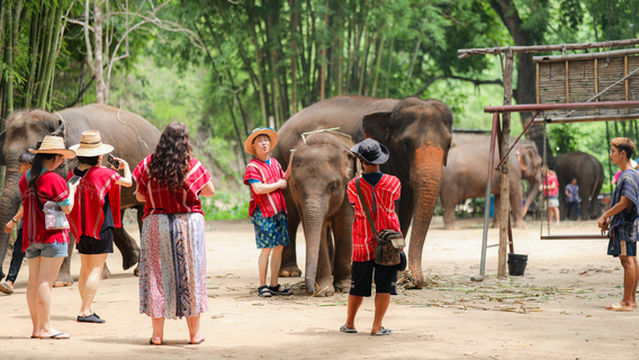 Kerchor​ elephant​ eco​ park​