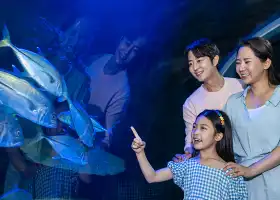 아쿠아플라넷 광교