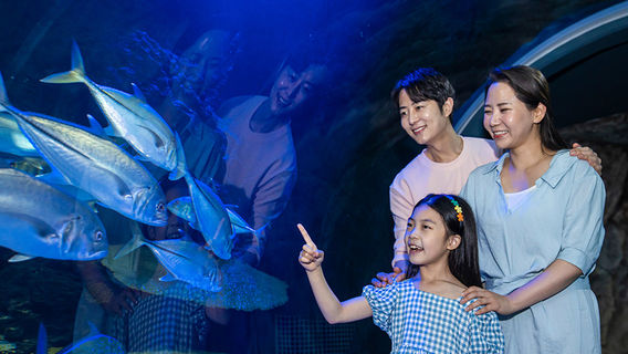 Aqua Planet, Gwanggyo