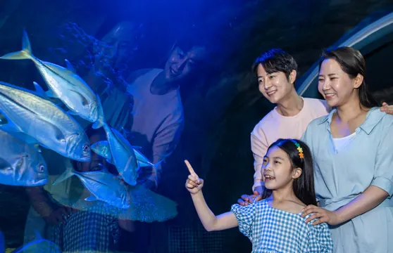 光教Aqua Planet水族館門票大小同價（非韓國國籍）