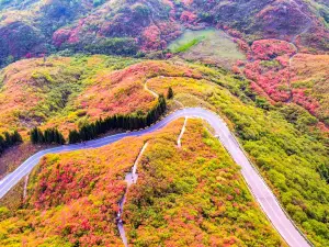 Dawei Mountain National Forest Park