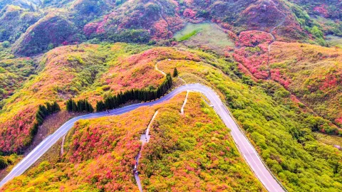Dawei Mountain National Forest Park attraction in Changsha