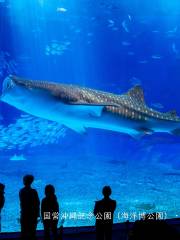 沖縄美ら海水族館