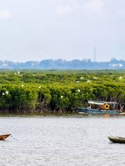 Dongzhaigang mangroves