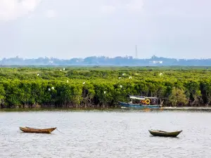 Dongzhaigang mangroves