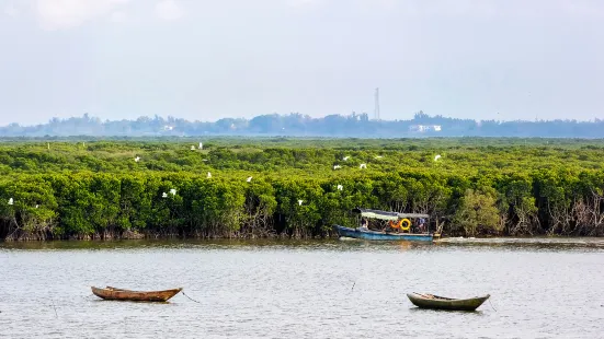 Dongzhaigang mangroves