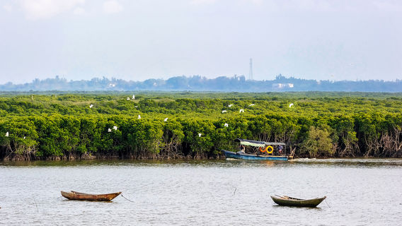 Hải Khẩu