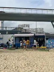 Dameisha Beach Water Park