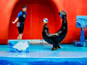 Xiaomeisha Sea World